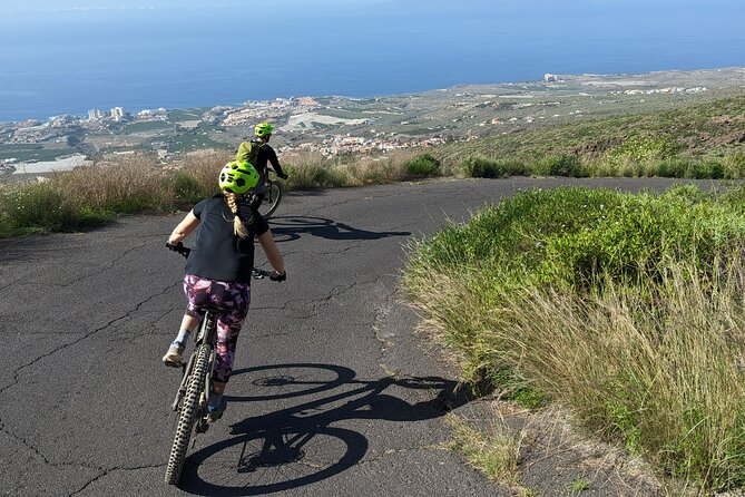 Biking Adventure From Teide to Sea With Wine and Cheese Tasting - Exploring the Teide National Park