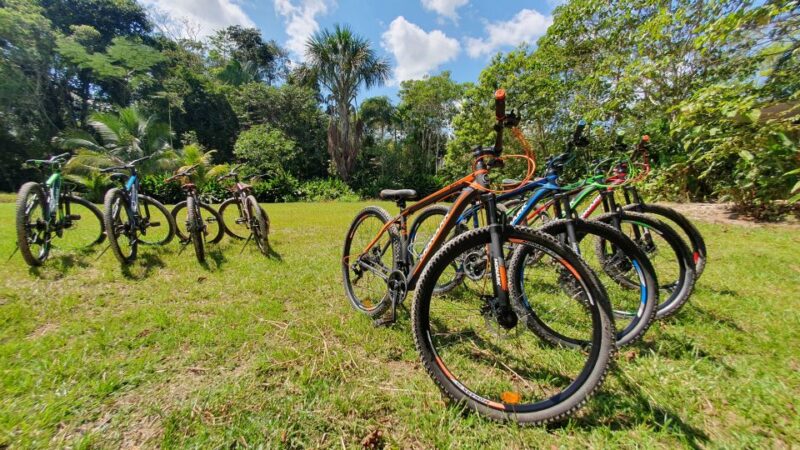 Biking in Peruvian Rainforest With Lagoon Visit - Key Points