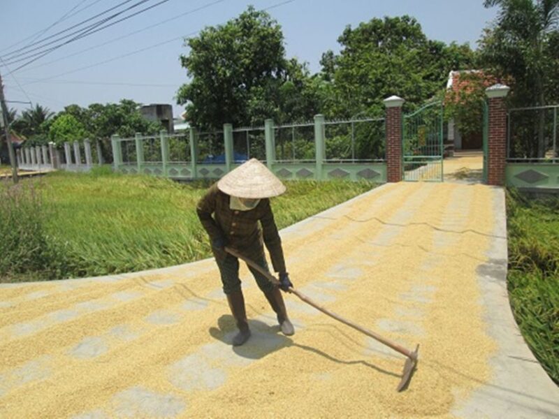 Biking Tour: Nha Trang Countryside - Highlights