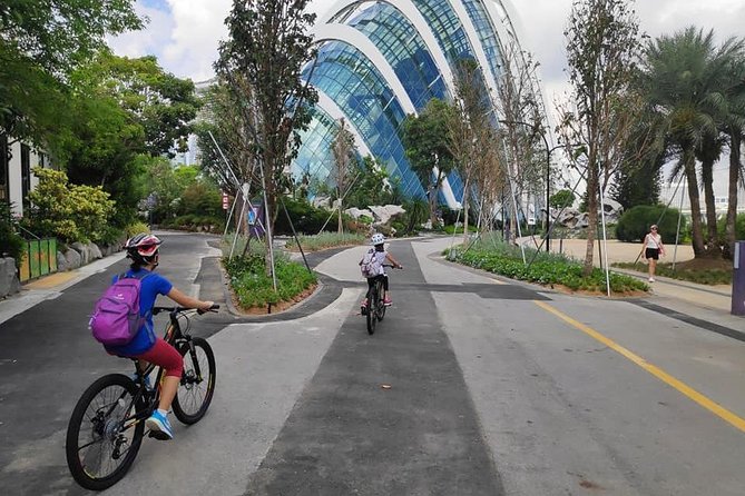 Bikingsg Best of Singapore: Take in the Sights on a Relaxed Audio Cycling Tour - Taking in Vibrant Neighborhoods