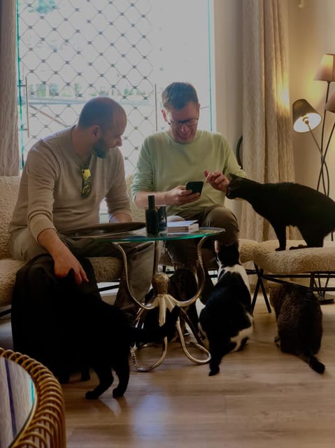 Bilbao: 30-Minute Entry Ticket to a Cat Café - Key Points
