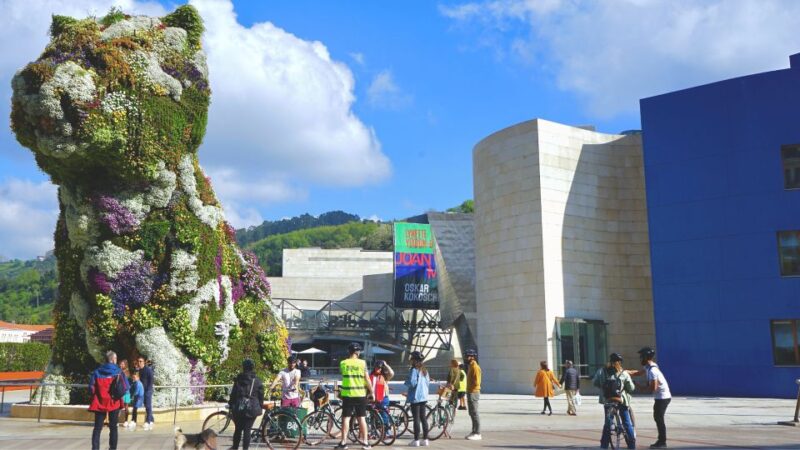 Bilbao: City Highlights Guided Bike Tour - Experience and Learning