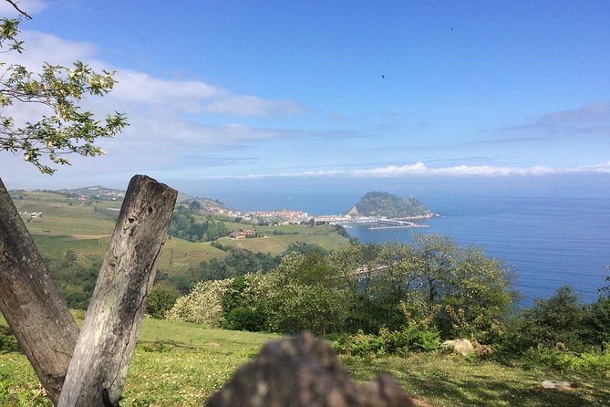 Bilbao, Guggenheim Museum and the Coastal Villages - Assistance and Support