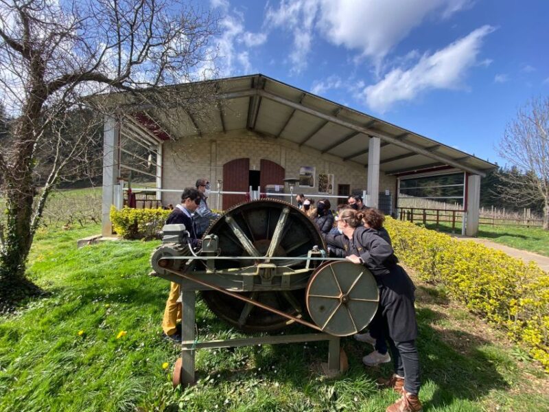 Bilbao: Guided Txakoli Wine Tasting - Key Points