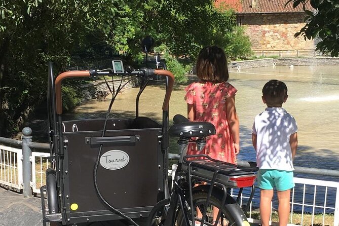Bilbao Highlights Half Day EBike Small Group or Private Tour - Government Buildings Tour