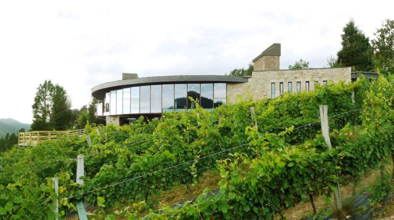 Bilbao: Organic Winery Visit With Tasting - Tour Duration and Cancellation