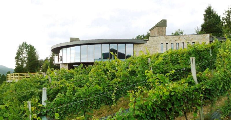 Bilbao: Organic Winery Visit With Tasting - Tasting Inclusions