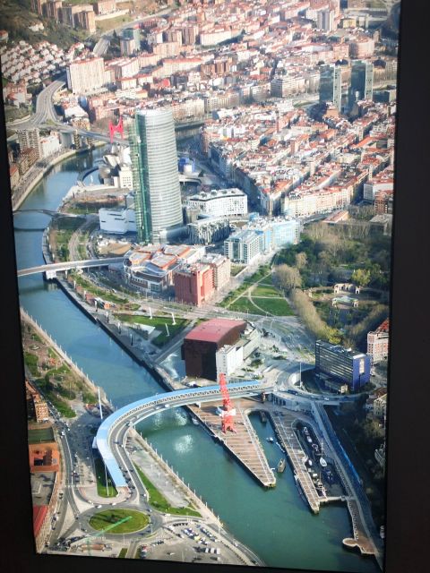 Bilbao: Private Experience at the Guggenheim (German Available) - Accessibility and Inclusivity