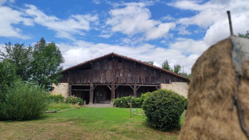 Bilbao: San Sebastian, Getaria, and Basque Farmhouse Tour - Overview of the Guided Tour