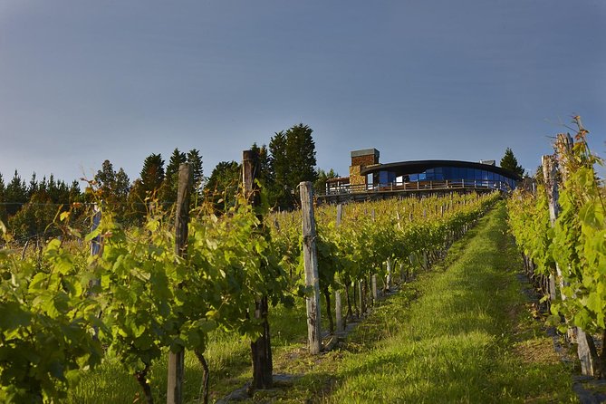 Bilbao Txakoli Wine Tour - Participant Information