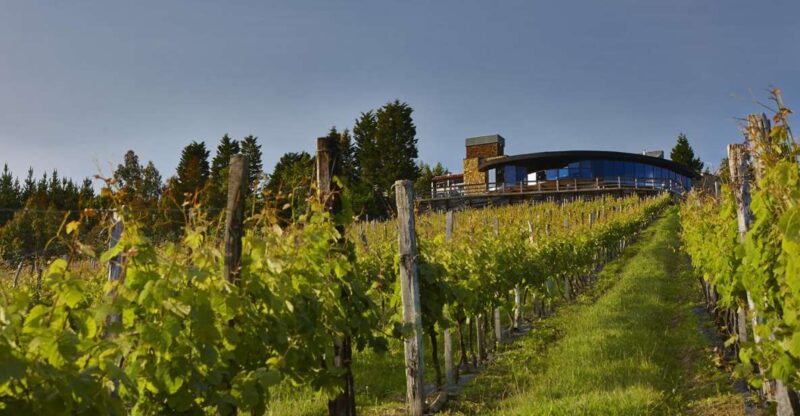 Bilbao Txakoli Wine Tour - Key Points