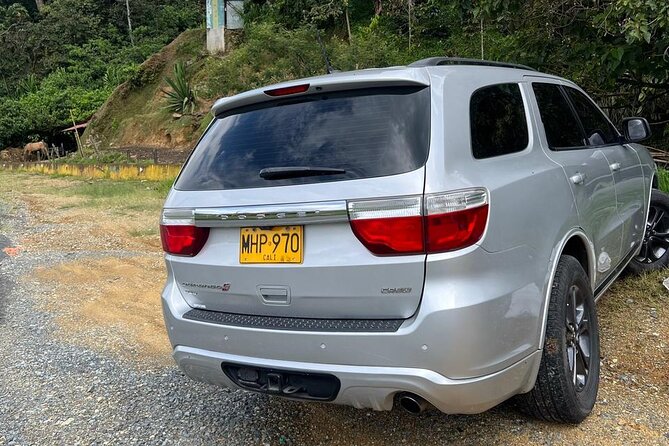 Bilingual Private Transport to the Airport. - Knowledgeable Drivers