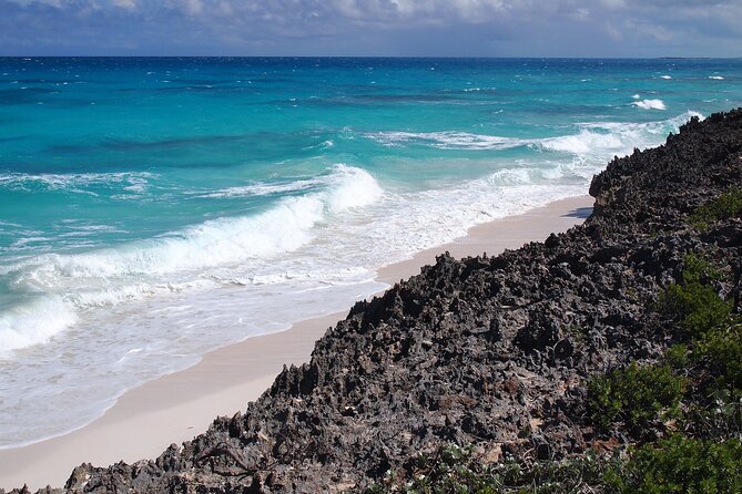 Bimini Day Trip on Cruise With Roundtrip Miami Transfer - Inclusions and Amenities