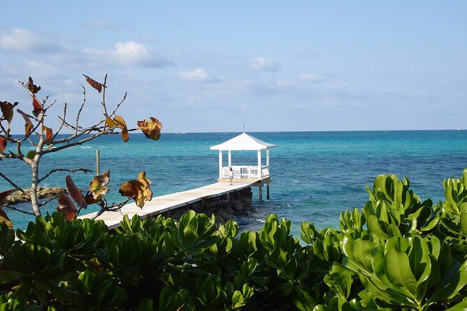 Bimini Day Trip on Cruise With Roundtrip Miami Transfer - Accessibility and Participation