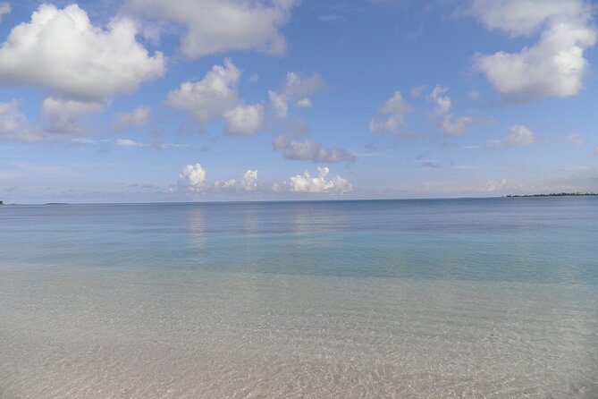 Bimini Day Trip on Cruise With Roundtrip Miami Transfer - Things to Expect on the Cruise