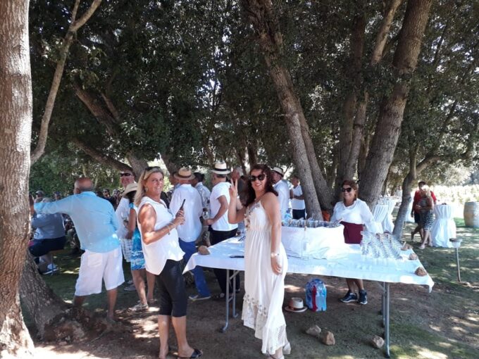 Binissalem: Individual Vineyard Tour and Wine Tasting - Extending Your Visit in Binissalem