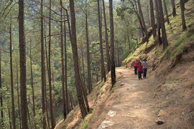 Binsar Sanctuary Walking Holiday - Transportation and Logistics