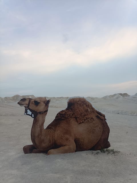 Bintan Desert & Blue Lake - Recap