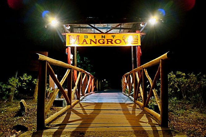 Bintan Fireflies Discovery Tour - Pricing and Booking Information