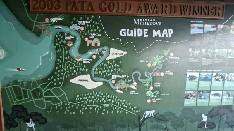 Bintan Island : Mangrove Or Fireflies Tour - Exploring Bintan’s Mangroves and Fireflies: What to Expect
