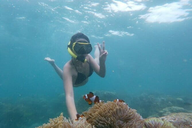 Bintan Island Snorkeling, Kayaking and Fun Fishing Activity - Comprehensive Review of the Bintan Island Snorkeling, Kayaking, and Fun Fishing Activity