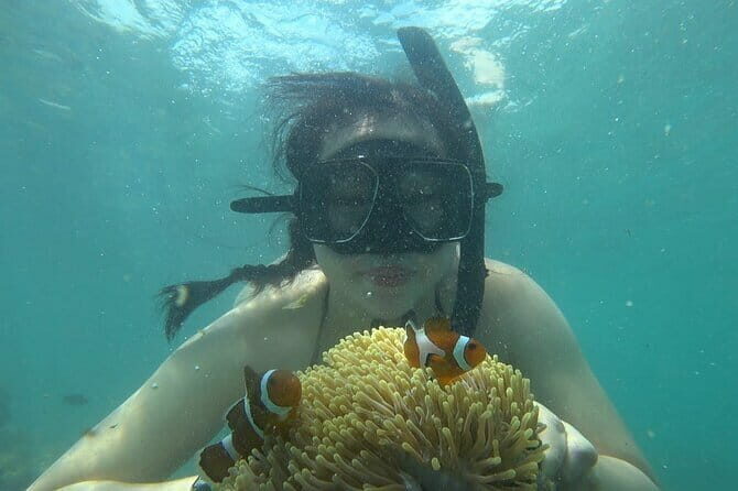 Bintan Island Snorkeling, Kayaking and Fun Fishing Activity - Key Points
