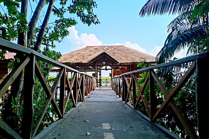 Bintan Mangrove Discovery Tour - Location and Rating