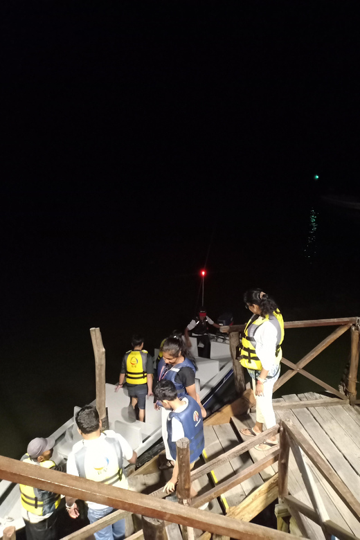Bintan Mangrove OR Fireflies Tour - Key Points