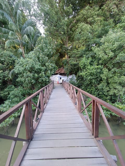 Bintan Mangrove OR Fireflies Tour - Pickup and Drop-off Locations
