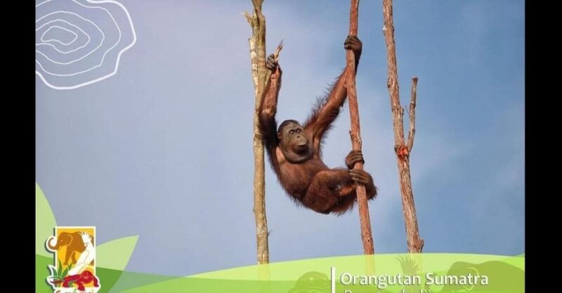 Bintan Safari Lagoi + Honey & Eco Farm Tour - Eco Farm Experience