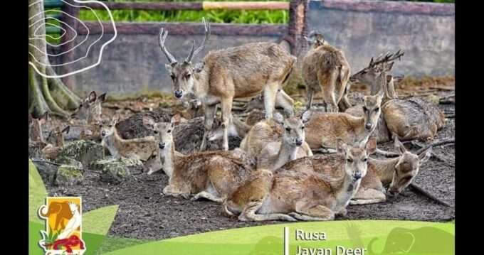 Bintan Safari Lagoi + Honey & Eco Farm Tour - Highlights of the Tour