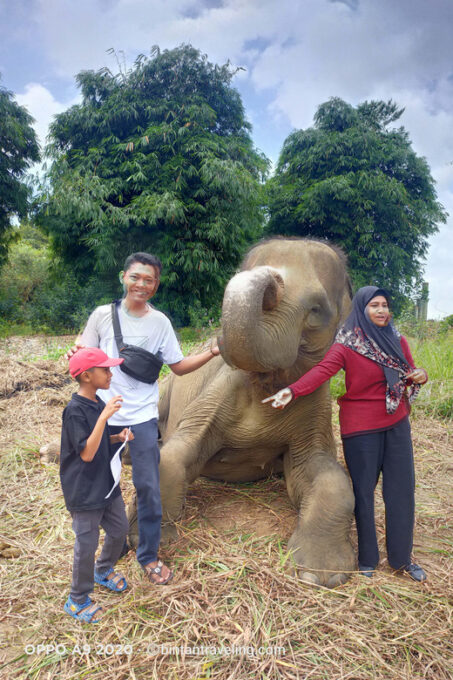 Bintan Safari Lagoi + Honey & Eco Farm Tour - Inclusive Services and Amenities