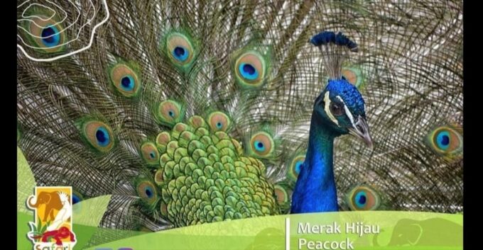 Bintan Safari Lagoi + Honey & Eco Farm Tour - Frequently Asked Questions