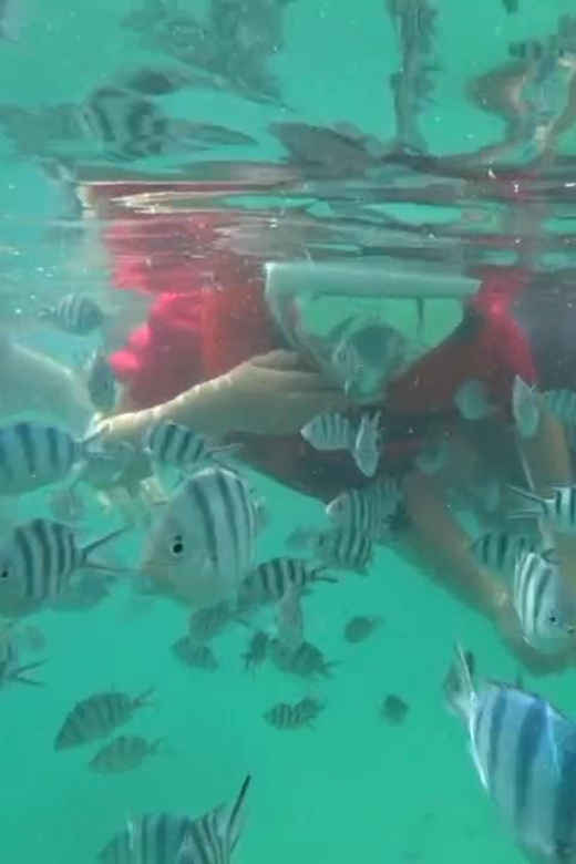 Bintan Snorkeling - Transportation Details