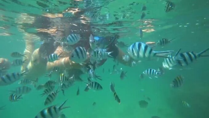 Bintan Snorkeling - Frequently Asked Questions
