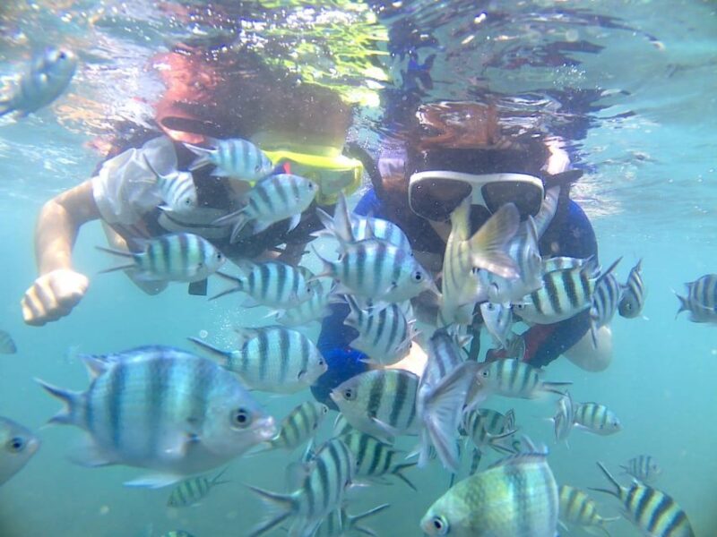 Bintan Snorkeling - Booking Information