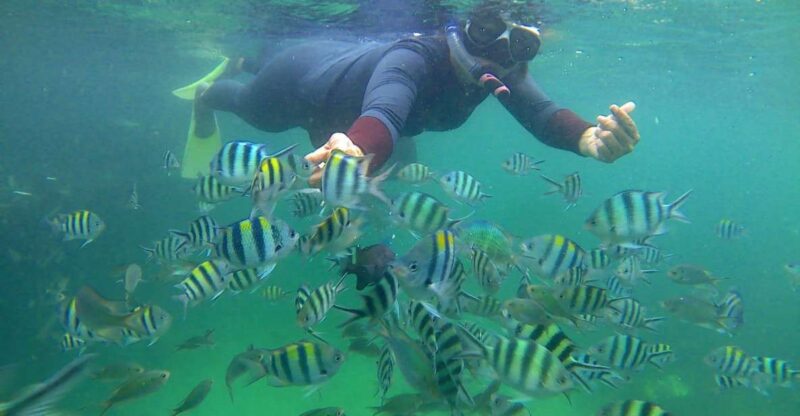 Bintan Snorkeling - Location and Itinerary
