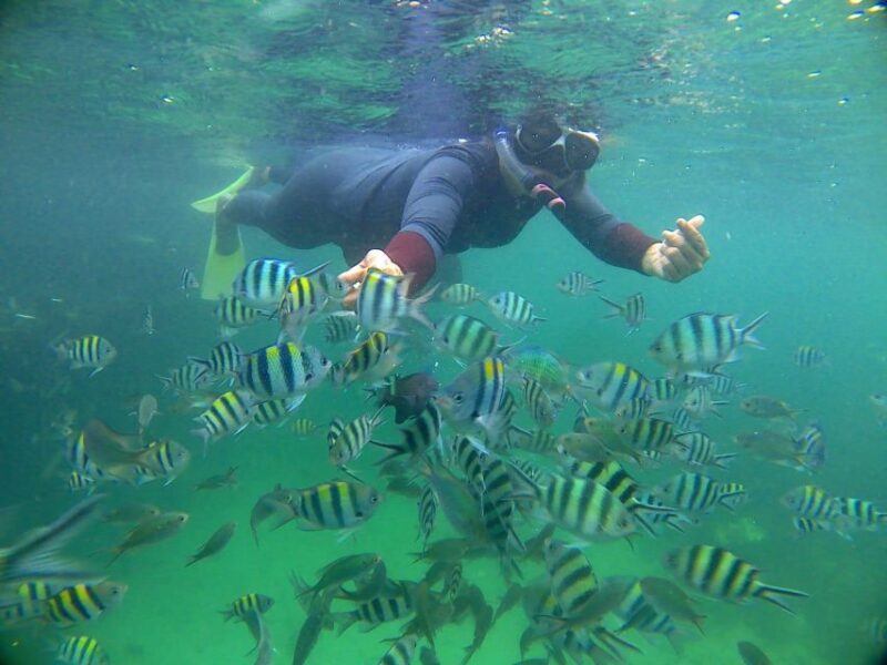 Bintan Snorkeling - Explore Marine Life