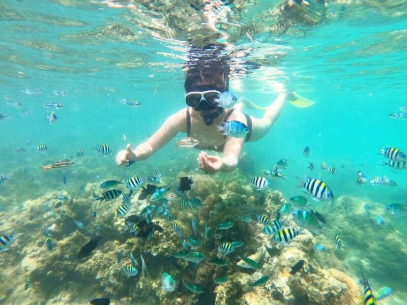 Bintan Snorkeling - Restrictions and Requirements