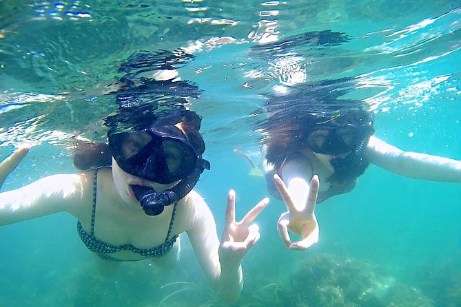 Bintan Snorkeling Tour - Guest Feedback