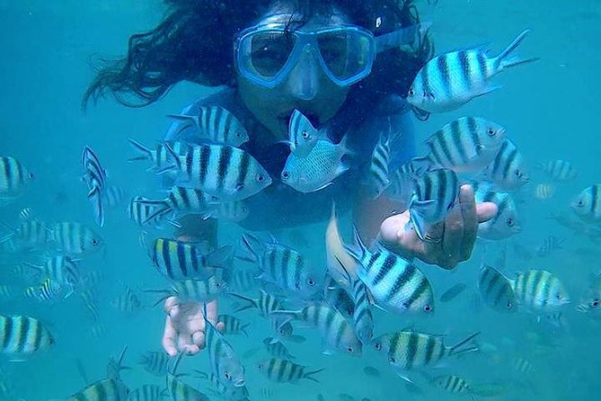 Bintan Snorkeling Tour - About the Destination