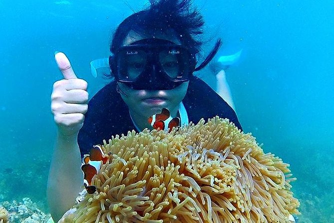 Bintan Snorkeling Tour - Booking and Cancellation Policy