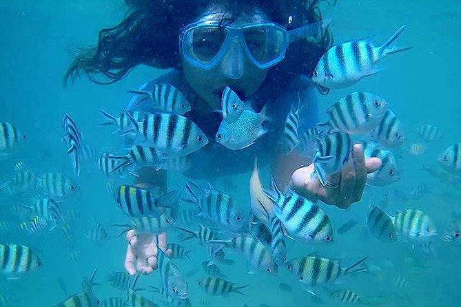 Bintan Snorkeling Tour - Expert Guides and Support
