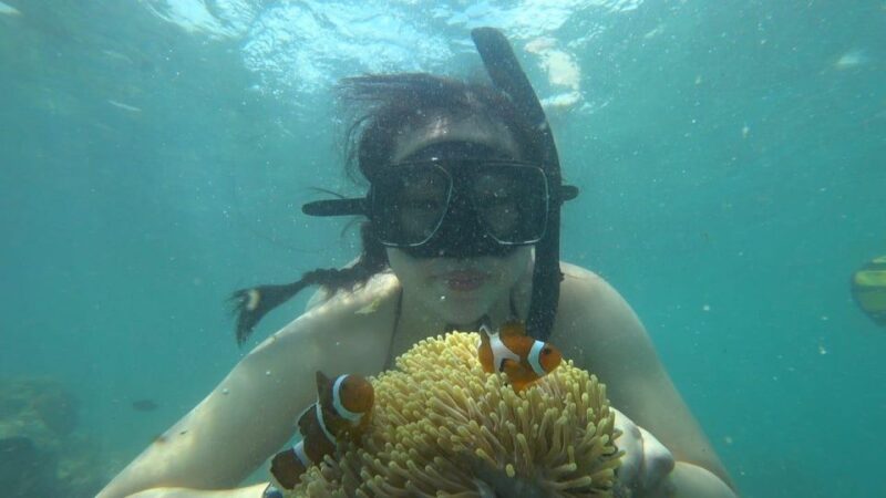 Bintan Snorkeling & White Sands Island Tour - Experience Highlights