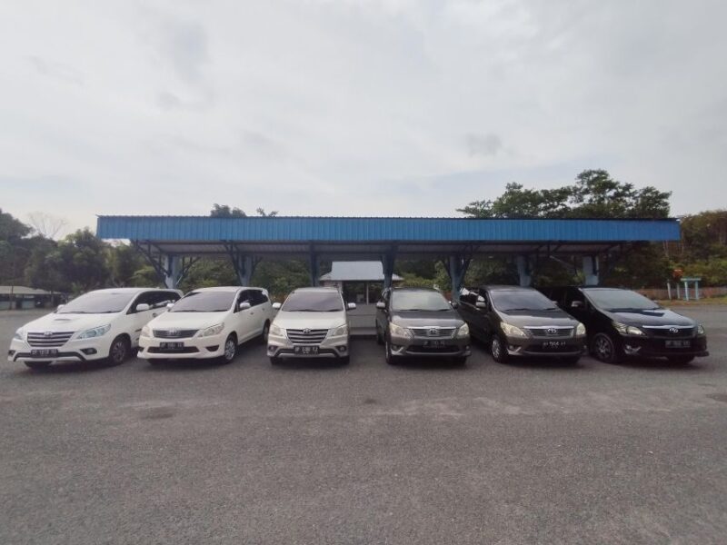 Bintan Taxi and Tour (4 Hours) Half Day - Transportation and Accessibility