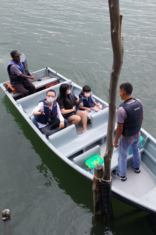 Bintan Tour Mangrove or Fireflies - Key Points
