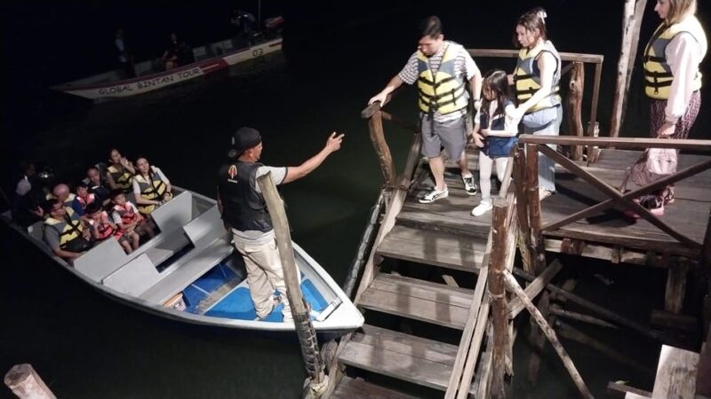 Bintan Tour Mangrove or Fireflies - Experience and Itinerary