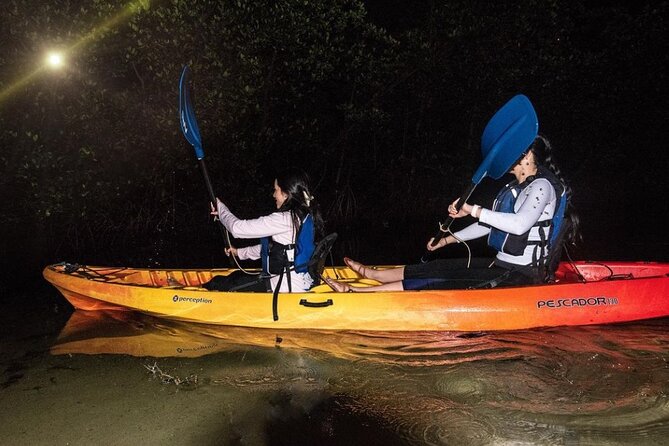 Bio Bay Kayak Tour in Fajardo - Tour Location and Overview
