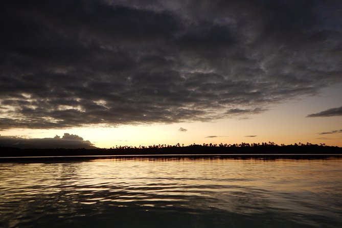 Bio Bay Kayak Tour in Fajardo - Tour Duration and Pricing