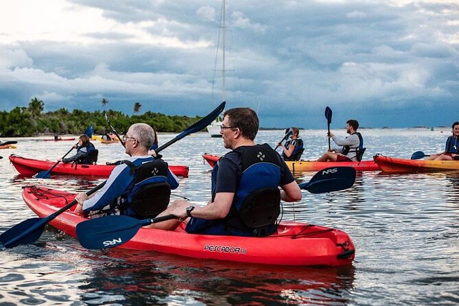 Bio Bay Kayak Tour in Fajardo - Group Size and Availability